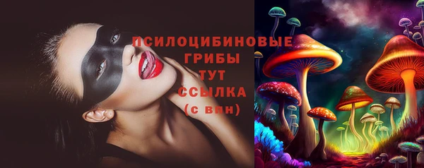стаф Бугульма